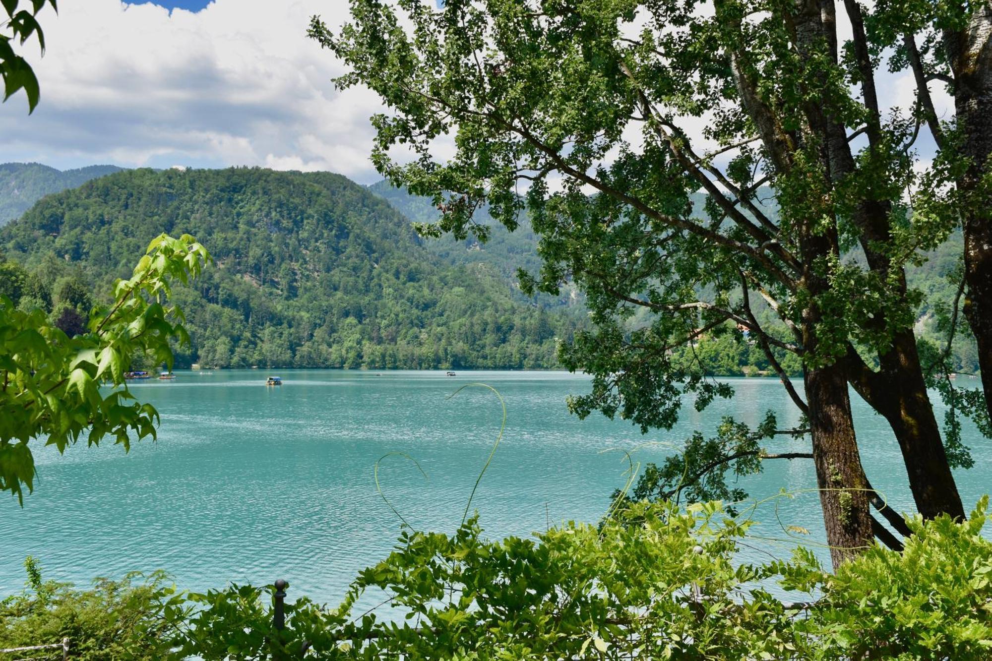 Adora Luxury Hotel Bled Luaran gambar